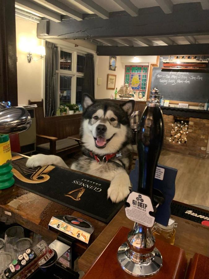 The Old Ship Inn Lowdham Exteriör bild
